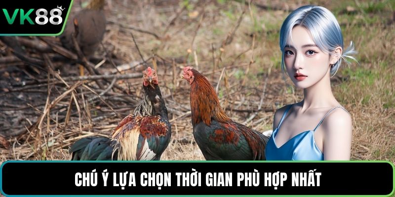 Chú ý lựa chọn thời gian phù hợp nhất