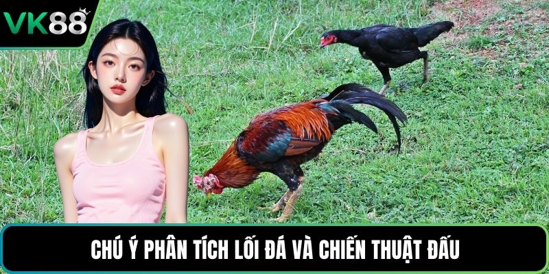 Chú ý phân tích lối đá và chiến thuật đấu