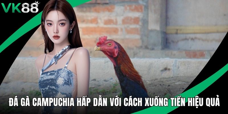 Đá Gà Campuchia Hấp Dẫn Với Cách Xuống Tiền Hiệu Quả