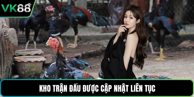Kho trận đấu được cập nhật liên tục