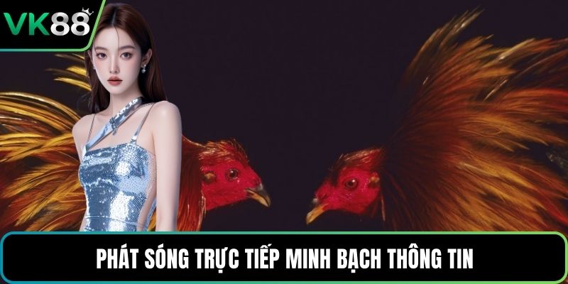 Phát sóng trực tiếp minh bạch thông tin