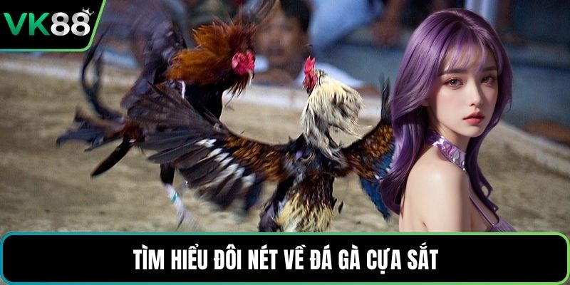 Tìm hiểu đôi nét về đá gà cựa sắt