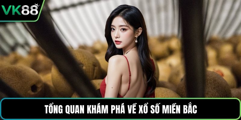 Tổng quan khám phá về xổ số miền Bắc